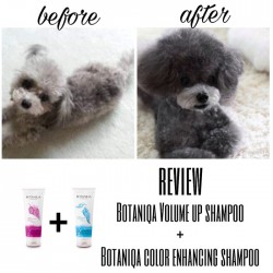 BOTANIQA Color Enhancing Shampoo 250ml