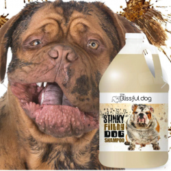 Blissful Stinky Filthy Shampoo GALON