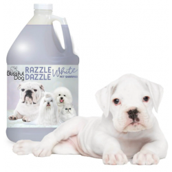 Blissful Razzle Dazzle White Shampoo GALON