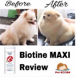 Biotine Maxi 30 tablet